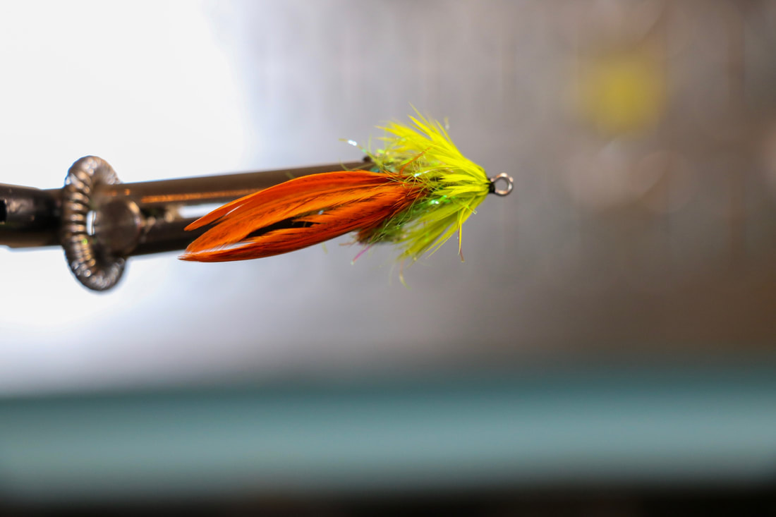 Fly Tying & Fishing Blog