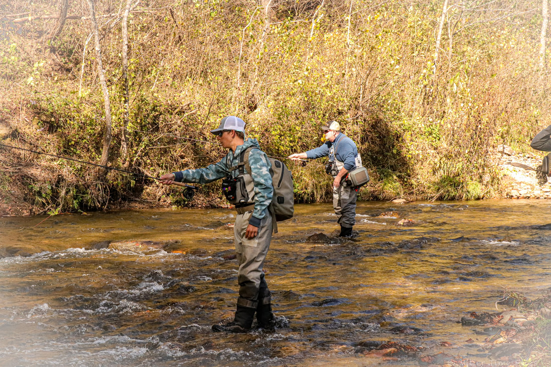 Smoky Mountain Fly Fishing Video Blog - Fishing with poppers for